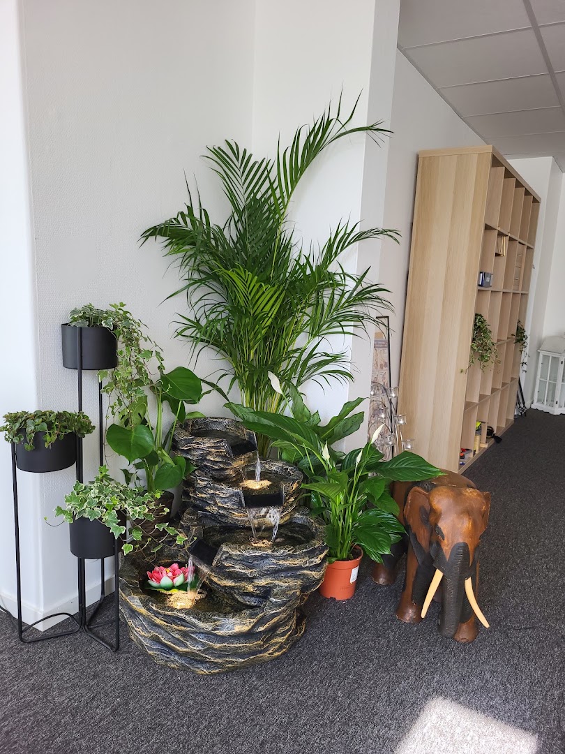 Siri Aroma Thaimassage · Bilder 3